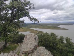 Flora del Cerro Masatrigo